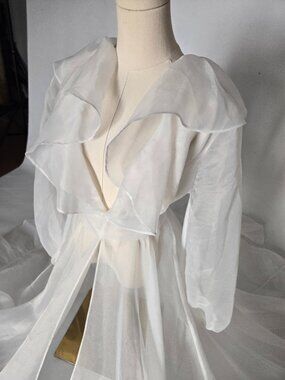 Photoshoot ready! Silk Organza Dress